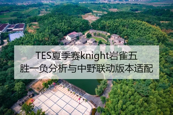 TES夏季赛knight岩雀五胜一负分析与中野联动版本适配